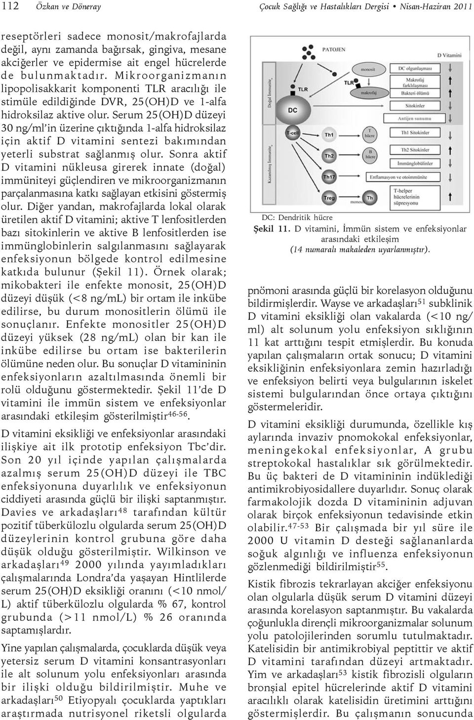 Serum 25(OH)D düzeyi 30 ng/ml in üzerine çıktığında 1-alfa hidroksilaz için aktif D vitamini sentezi bakımından yeterli substrat sağlanmış olur.