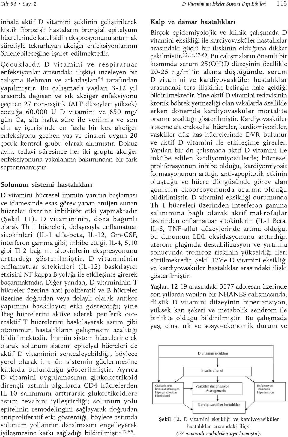 Çocuklarda D vitamini ve respiratuar enfeksiyonlar arasındaki ilişkiyi inceleyen bir çalışma Rehman ve arkadaşları 54 tarafından yapılmıştır.