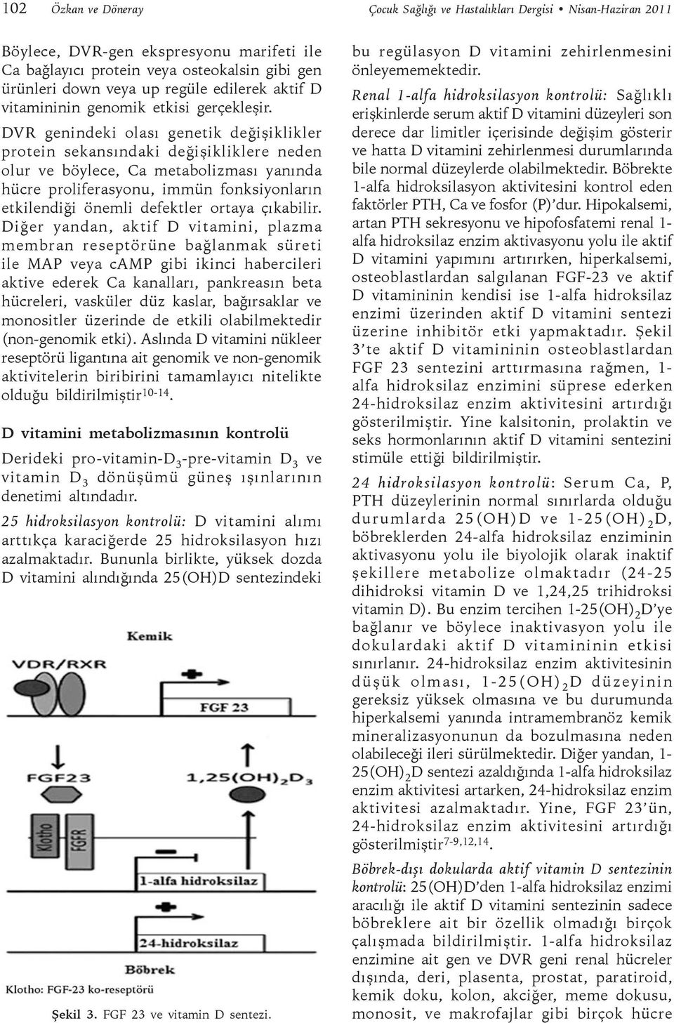 DVR genindeki olası genetik değişiklikler protein sekansındaki değişikliklere neden olur ve böylece, Ca metabolizması yanında hücre proliferasyonu, immün fonksiyonların etkilendiği önemli defektler