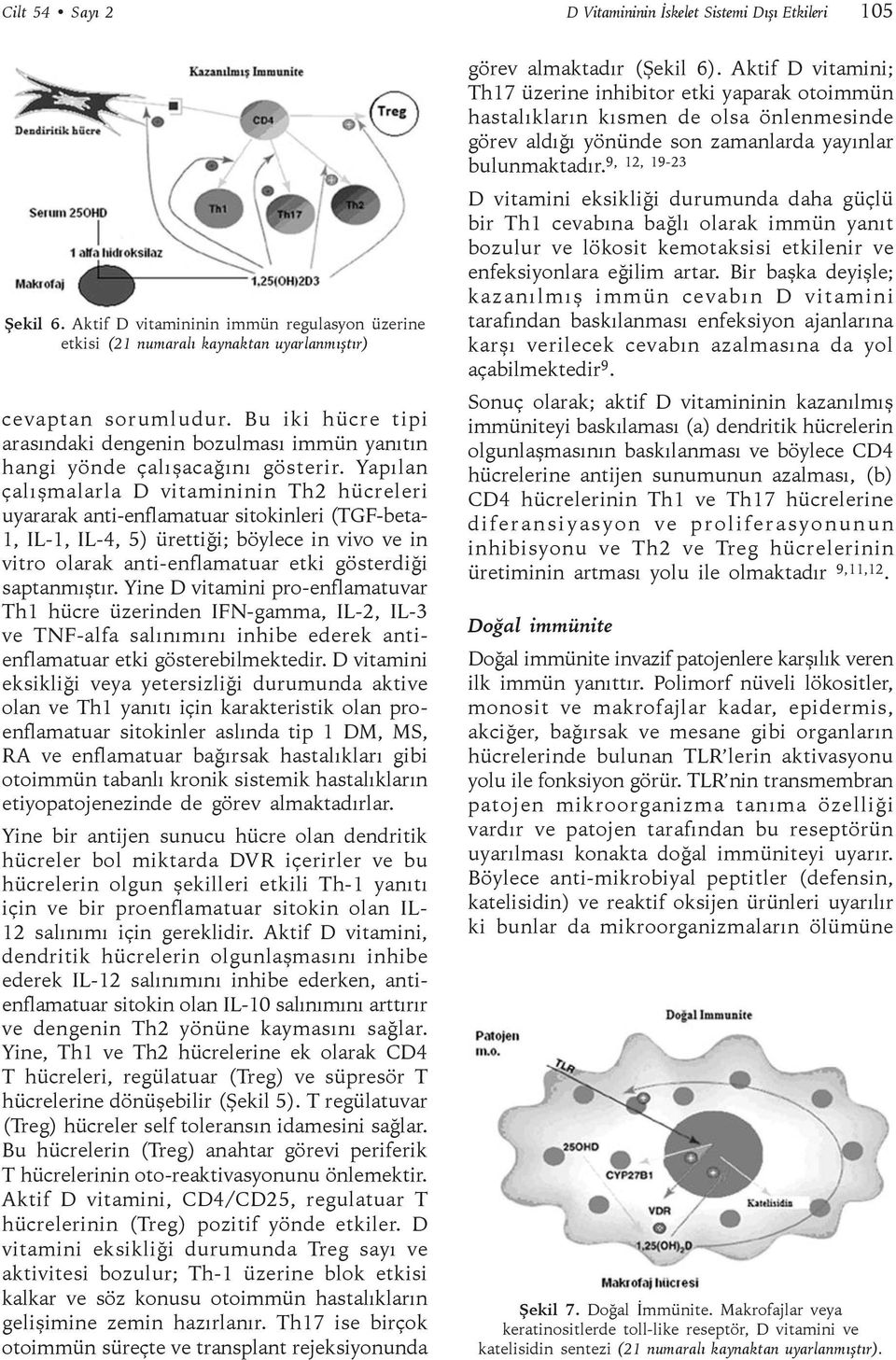 Yapılan çalışmalarla D vitamininin Th2 hücreleri uyararak anti-enflamatuar sitokinleri (TGF-beta- 1, IL-1, IL-4, 5) ürettiği; böylece in vivo ve in vitro olarak anti-enflamatuar etki gösterdiği