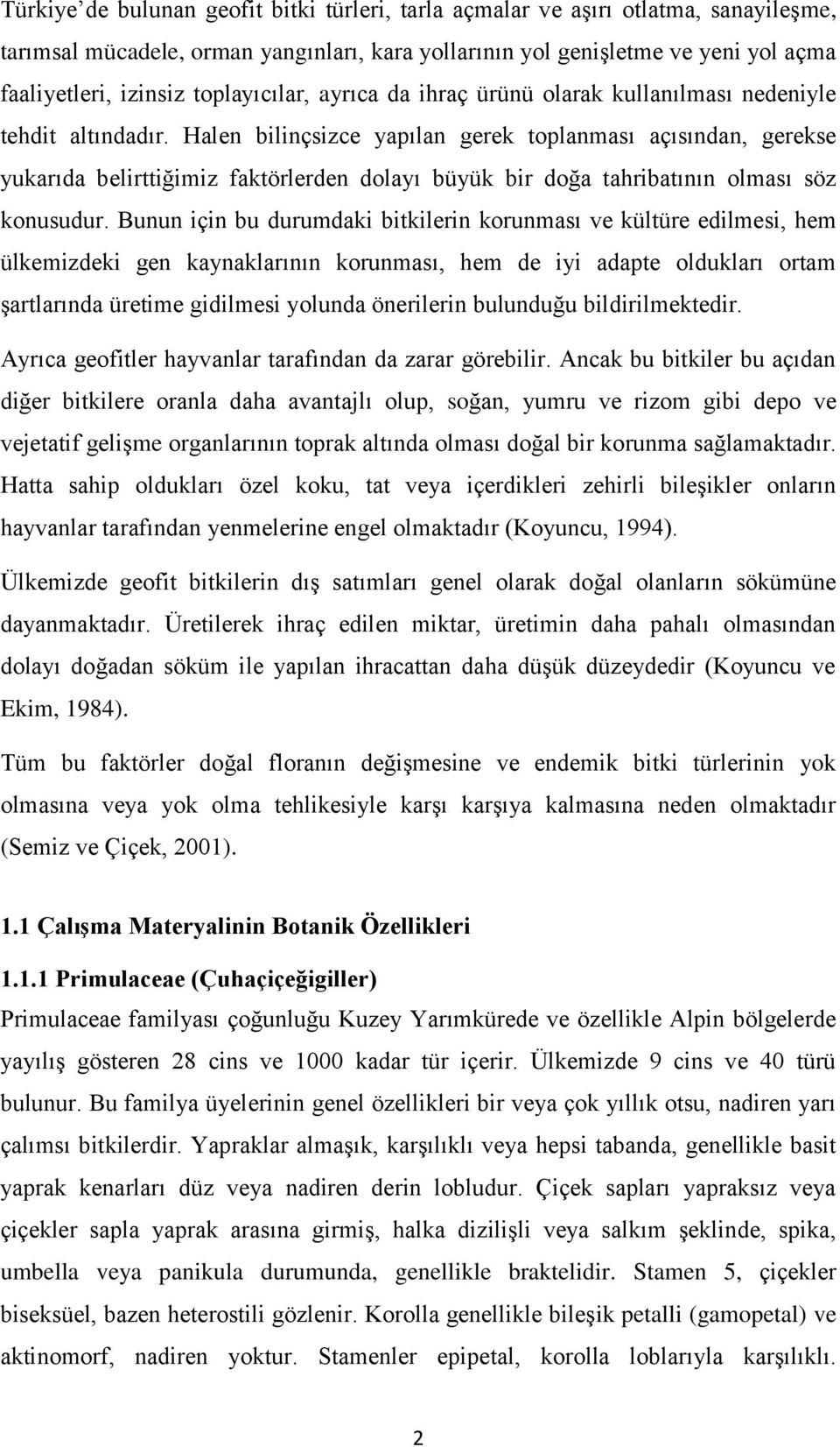 Halen bilinçsizce yapılan gerek toplanması açısından, gerekse yukarıda belirttiğimiz faktörlerden dolayı büyük bir doğa tahribatının olması söz konusudur.