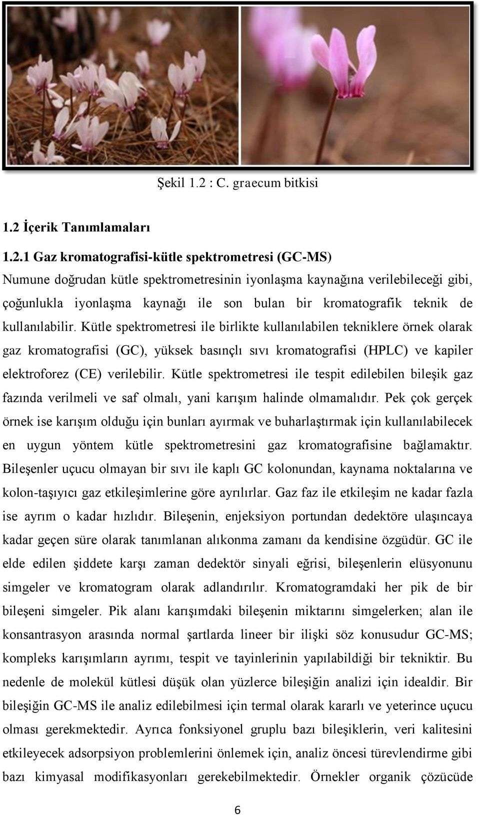 İçerik Tanımlamaları 1.2.