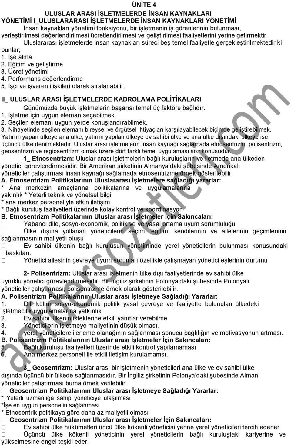 Uluslararası işletmelerde insan kaynakları süreci beş temel faaliyetle gerçekleştirilmektedir ki bunlar; 1. İşe alma 2. Eğitim ve geliştirme 3. Ücret yönetimi 4. Performans değerlendirme 5.