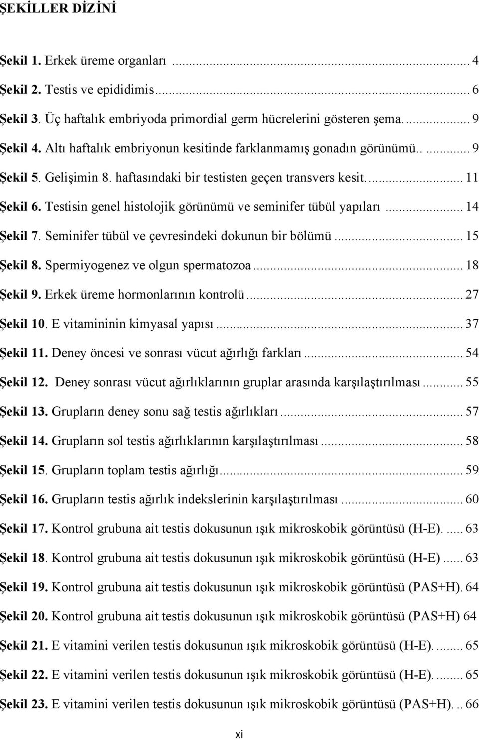 Testisin genel histolojik görünümü ve seminifer tübül yapıları... 14 Şekil 7. Seminifer tübül ve çevresindeki dokunun bir bölümü... 15 Şekil 8. Spermiyogenez ve olgun spermatozoa... 18 Şekil 9.