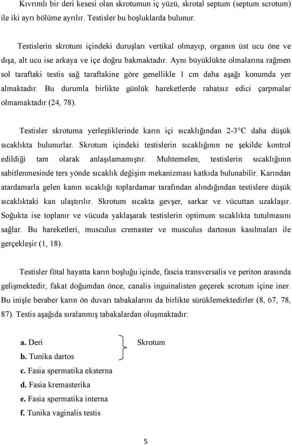 Aynı büyüklükte olmalarına rağmen sol taraftaki testis sağ taraftakine göre genellikle 1 cm daha aşağı konumda yer almaktadır.