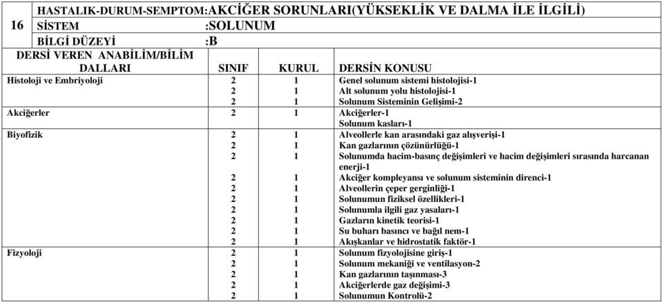 deiimleri sırasında harcanan enerji- Akcier kompleyansı ve solunum sisteminin direnci- Alveollerin çeper gerginlii- Solunumun fiziksel özellikleri- Solunumla ilgili gaz yasaları- Gazların