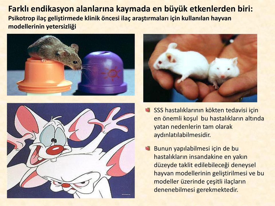 altında yatan nedenlerin tam olarak aydınlatılabilmesidir.