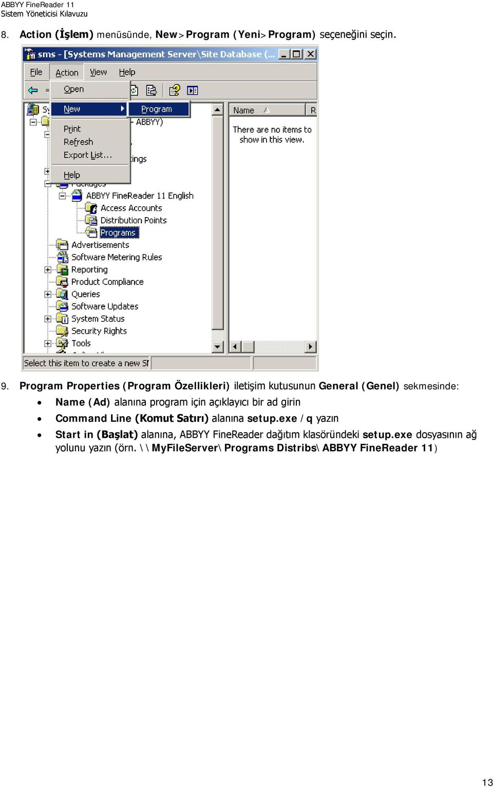 program için açıklayıcı bir ad girin Command Line (Komut Satırı) alanına setup.