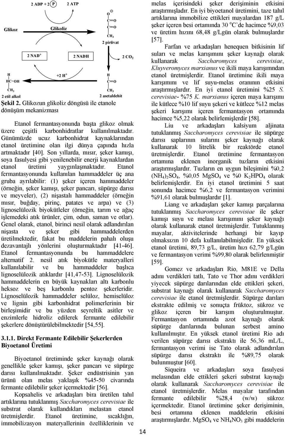 Günümüzde ucuz karbonhidrat kaynaklarından etanol üretimine olan ilgi dünya çapında hızla artmaktadır [40].