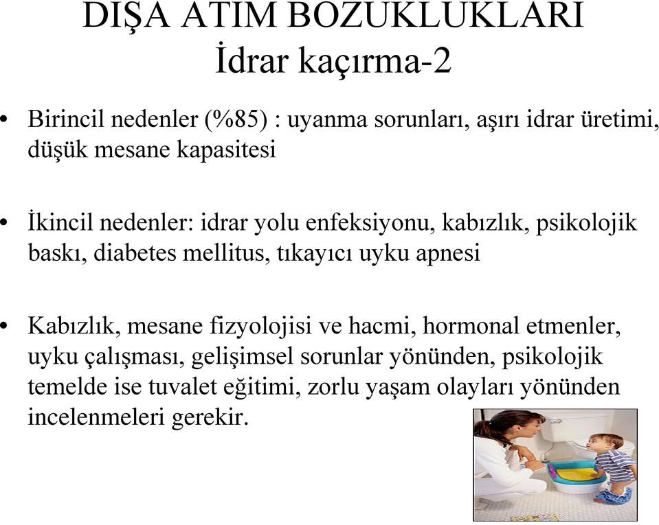 mellitus, tıkayıcı uyku apnesi Kabızlık, mesane fizyolojisi ve hacmi, hormonal etmenler, uyku çalışması,