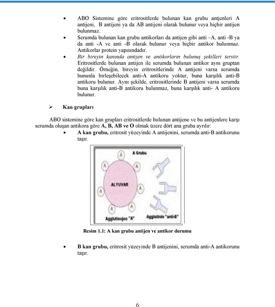 Bir bireyin kanında antijen ve antikorların bulunuş şekilleri terstir. Eritrositlerde bulunan antijen ile serumda bulunan antikor aynı gruptan değildir.