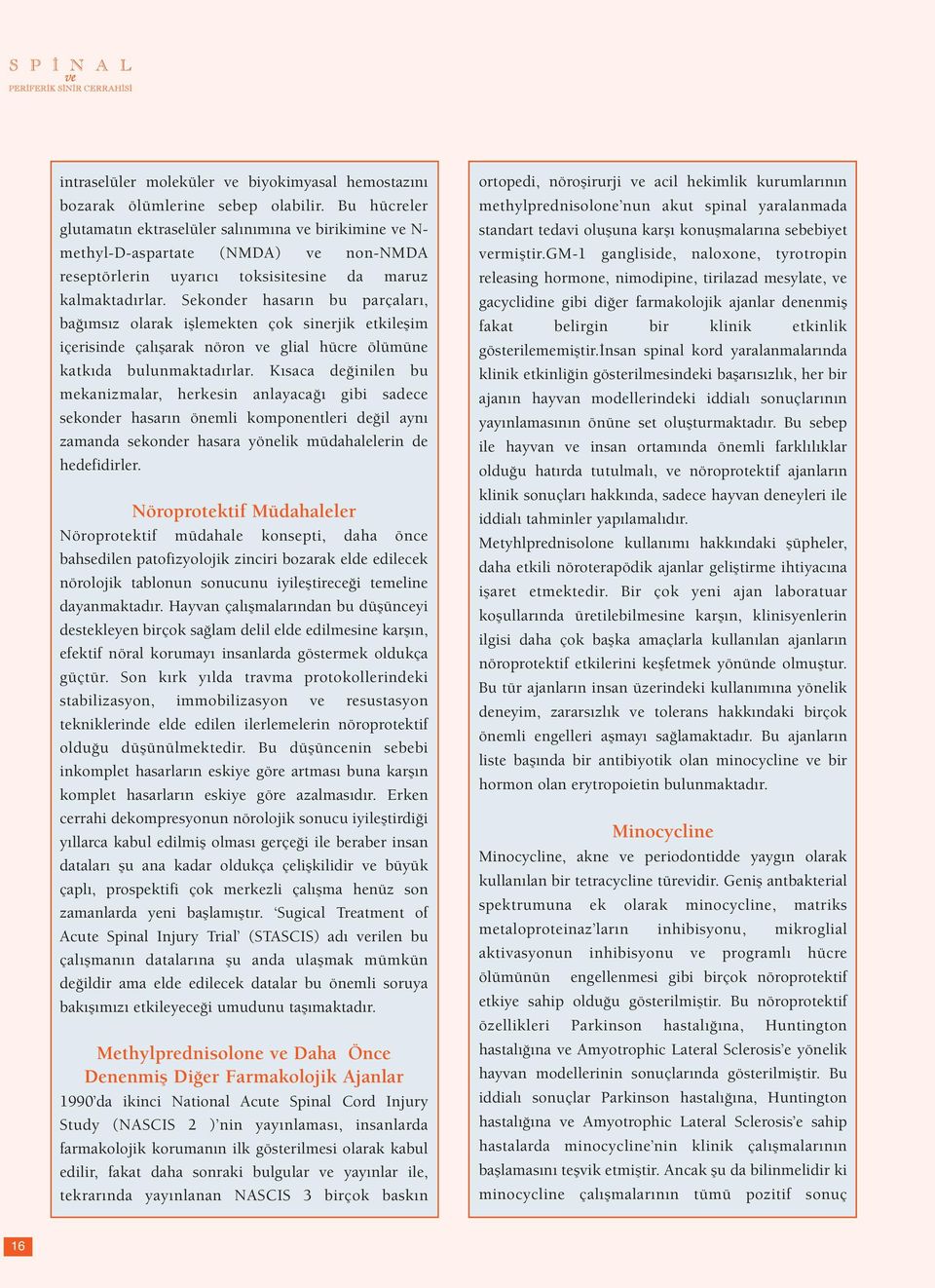 Sekonder hasarın bu parçaları, bağımsız olarak işlemekten çok sinerjik etkileşim içerisinde çalışarak nöron ve glial hücre ölümüne katkıda bulunmaktadırlar.