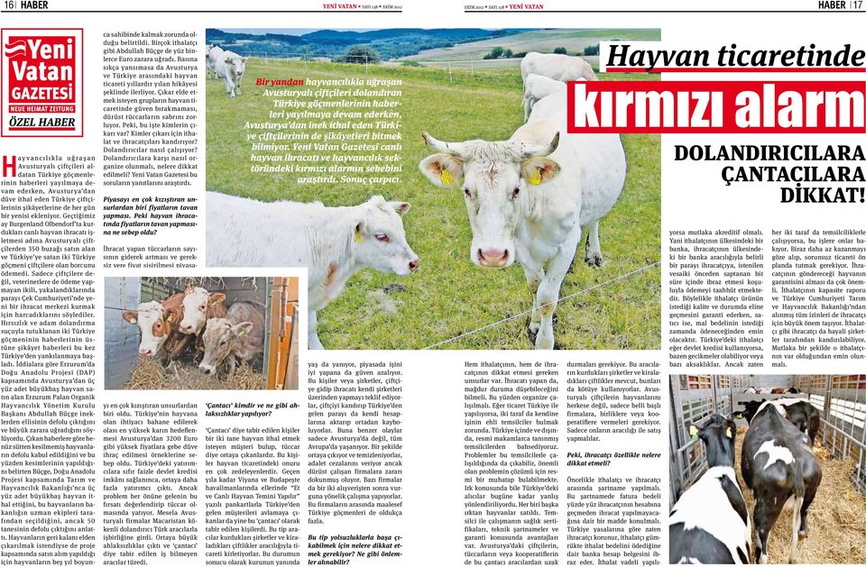 Geçtiğimiz ay Burgenland Olbendorf ta kurdukları canlı hayvan ihracatı işletmesi adına Avusturyalı çiftçilerden 350 buzağı satın alan ve Türkiye ye satan iki Türkiye göçmeni çiftçilere olan borcunu