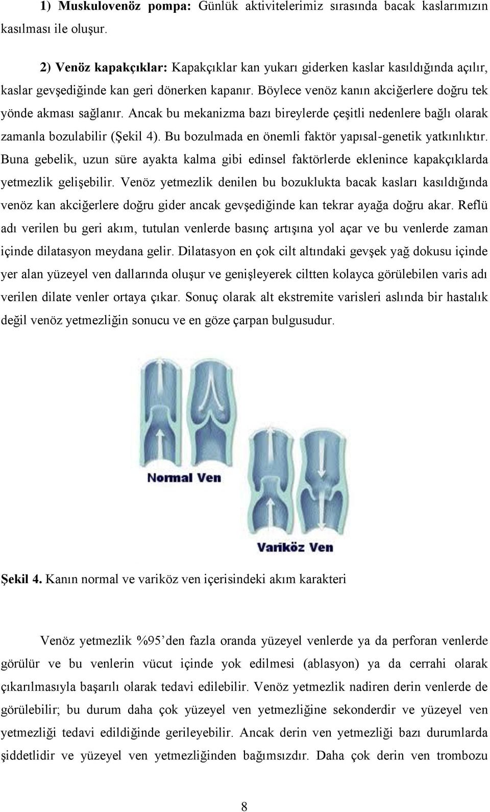 Ancak bu mekanizma bazı bireylerde çeşitli nedenlere bağlı olarak zamanla bozulabilir (Şekil 4). Bu bozulmada en önemli faktör yapısal-genetik yatkınlıktır.