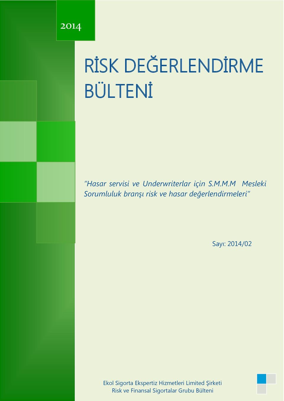 M.M Mesleki Sorumluluk branşı risk ve hasar