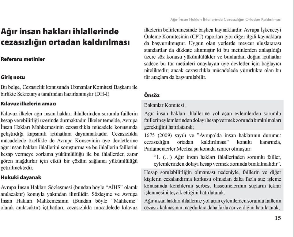 Kılavuz ilkelerin amacı Kılavuz ilkeler ağır insan hakları ihlallerinden sorumlu faillerin hesap verebilirliği üzerinde durmaktadır.