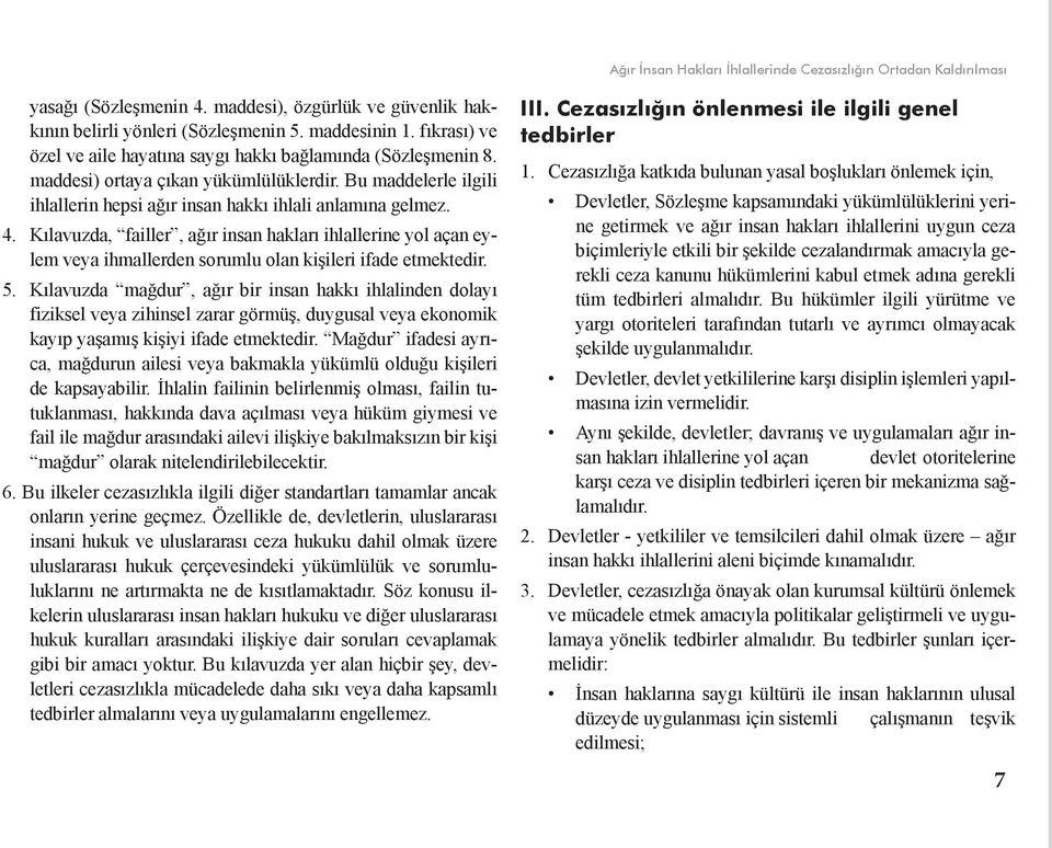 Kılavuzda, failler, ağır insan hakları ihlallerine yol açan eylem veya ihmallerden sorumlu olan kişileri ifade etmektedir. 5.