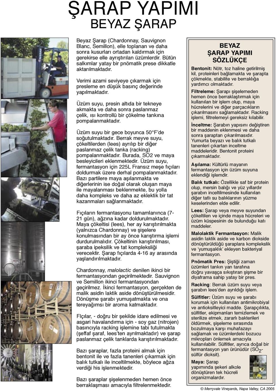 Üzüm suyu, presin altıda bir tekneye akmakta ve daha sonra paslanmaz çelik, ısı kontrollü bir çökelme tankına pompalanmaktadır. Üzüm suyu bir gece boyunca 50 Fʼde soğutulmaktadır.