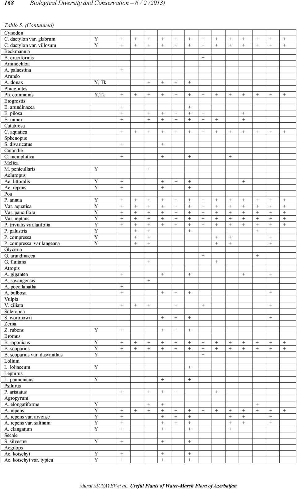 minor + + + + + + + + Catabrosa C. aquatica + + + + + + + + + + + + + Sphenopus S. divaricatus + + Cutandie C. memphitica + + + + Melica M. penicullaris Y + Aeluropus Ae. littoralis Y + + + + + Ae.