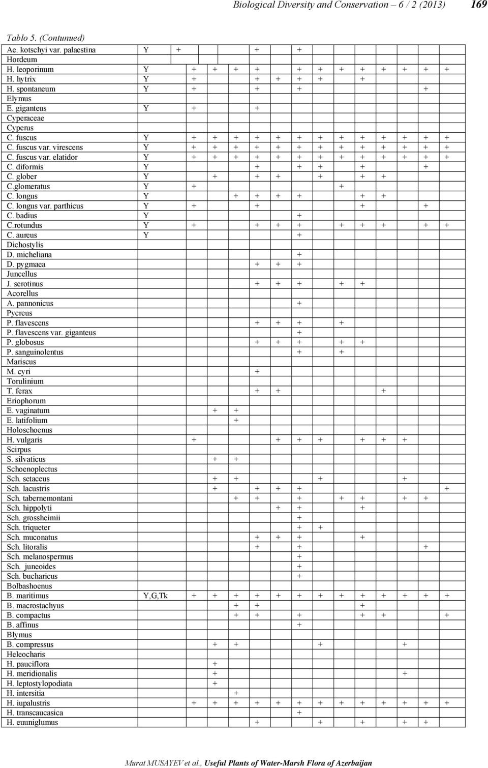 diformis Y + + + + + C. glober Y + + + + + + C.glomeratus Y + + C. longus Y + + + + + + C. longus var. parthicus Y + + + + C. badius Y + C.rotundus Y + + + + + + + + + C. aureus Y + Dichostylis D.