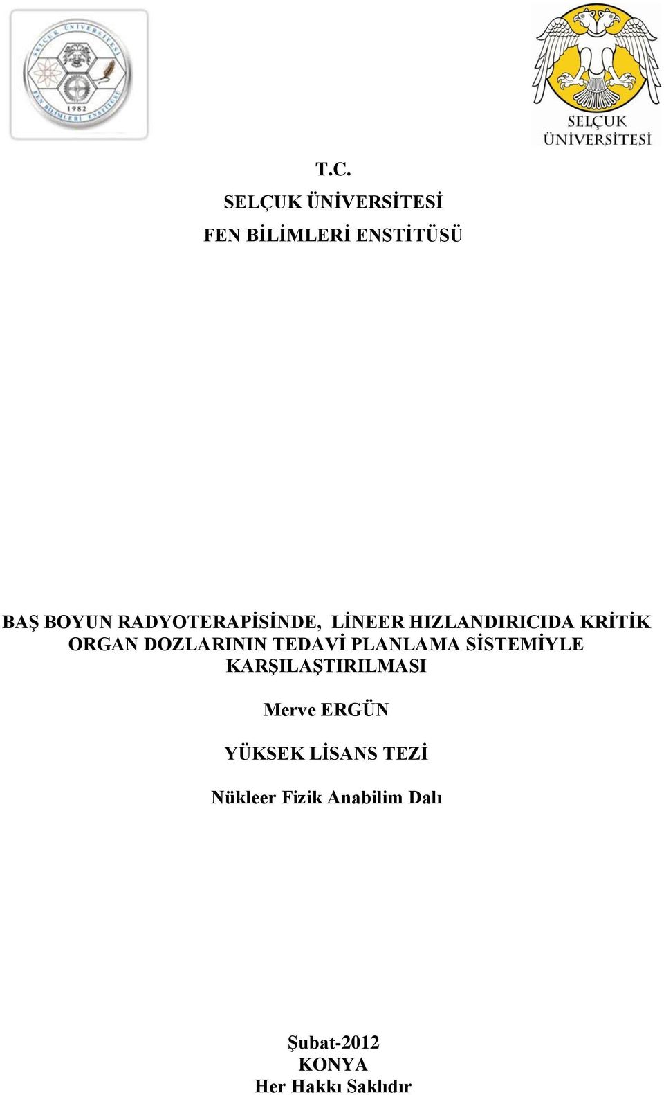 TEDAVĠ PLANLAMA SĠSTEMĠYLE KARġILAġTIRILMASI Merve ERGÜN YÜKSEK