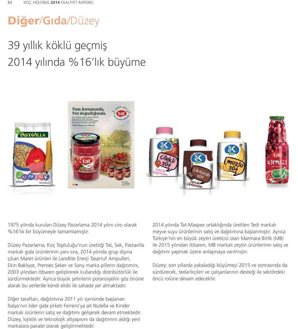 Düzey Pazarlama; Koç Topluluğu nun ürettiği Tat, Sek, Pastavilla markalı gıda ürünlerinin yanı sıra, 2014 yılında grup dışına çıkan Maret ürünleri ile Landlite Enerji Tasarruf Ampulleri, Ekin