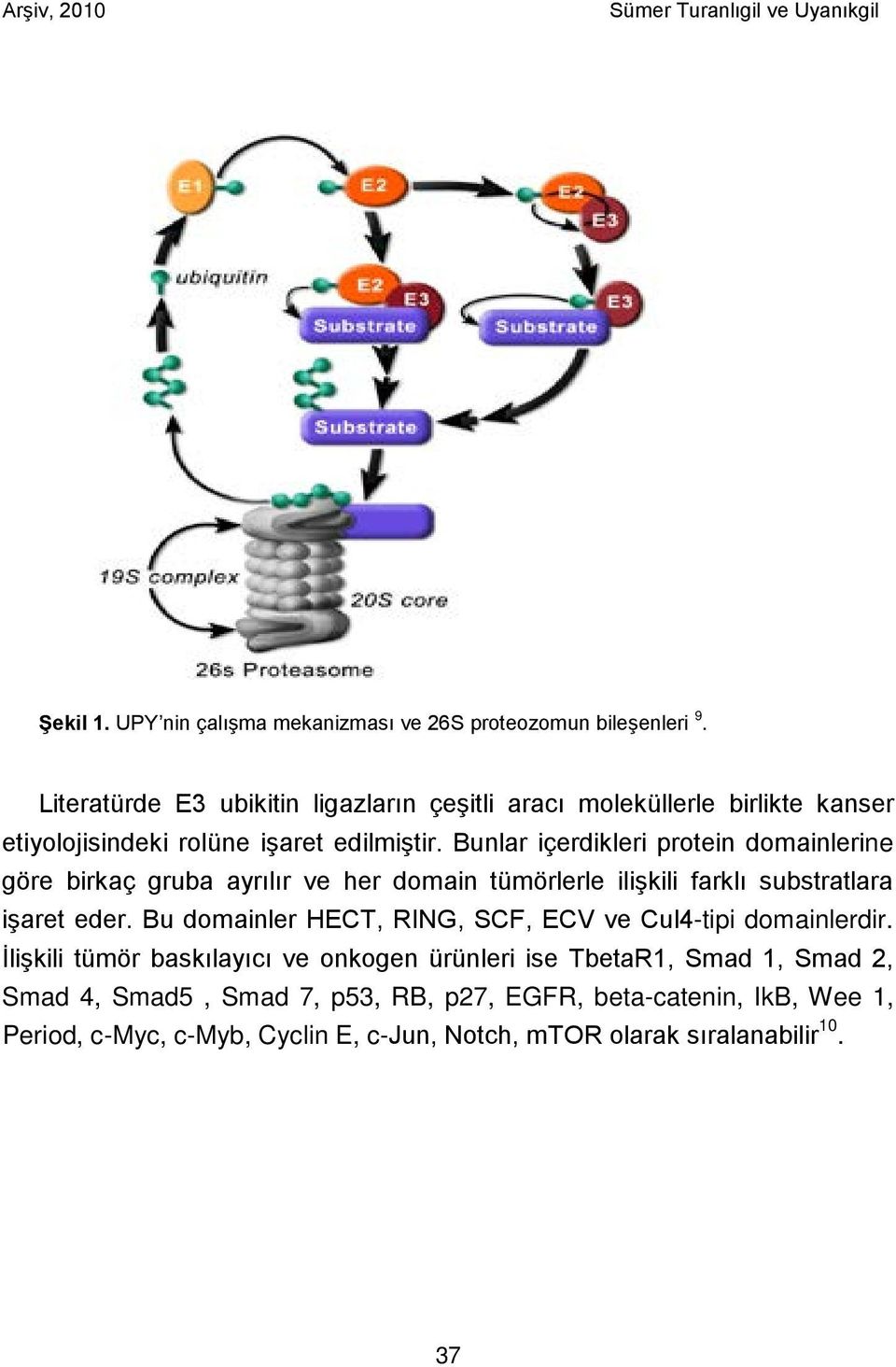 Bunlar içerdikleri protein domainlerine göre birkaç gruba ayrılır ve her domain tümörlerle ilişkili farklı substratlara işaret eder.