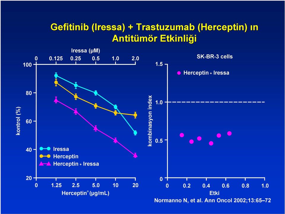 5 Herceptin + Iressa 80 kontrol (%) 60 40 Iressa Herceptin Herceptin + Iressa