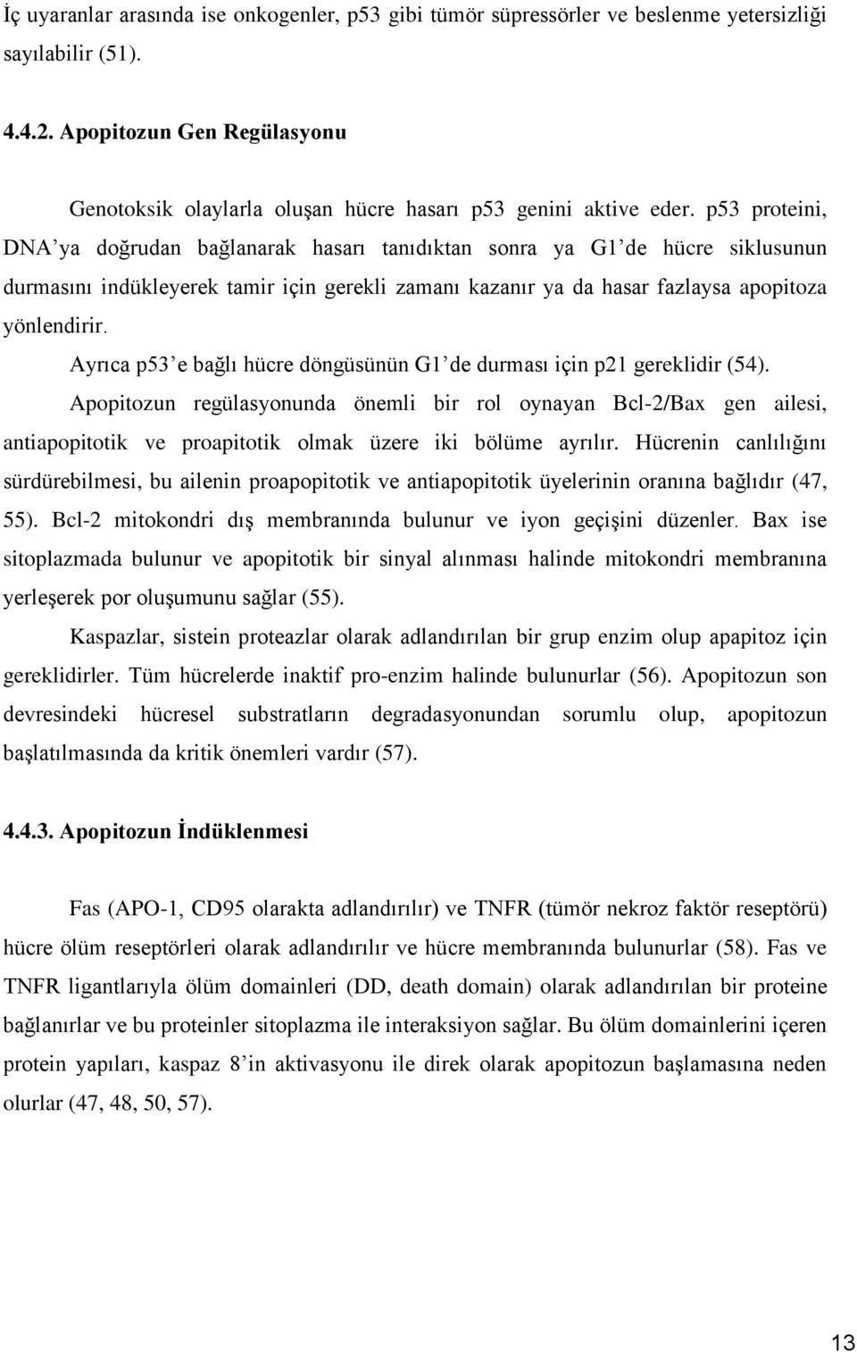 p53 proteini, DNA ya doğrudan bağlanarak hasarı tanıdıktan sonra ya G1 de hücre siklusunun durmasını indükleyerek tamir için gerekli zamanı kazanır ya da hasar fazlaysa apopitoza yönlendirir.