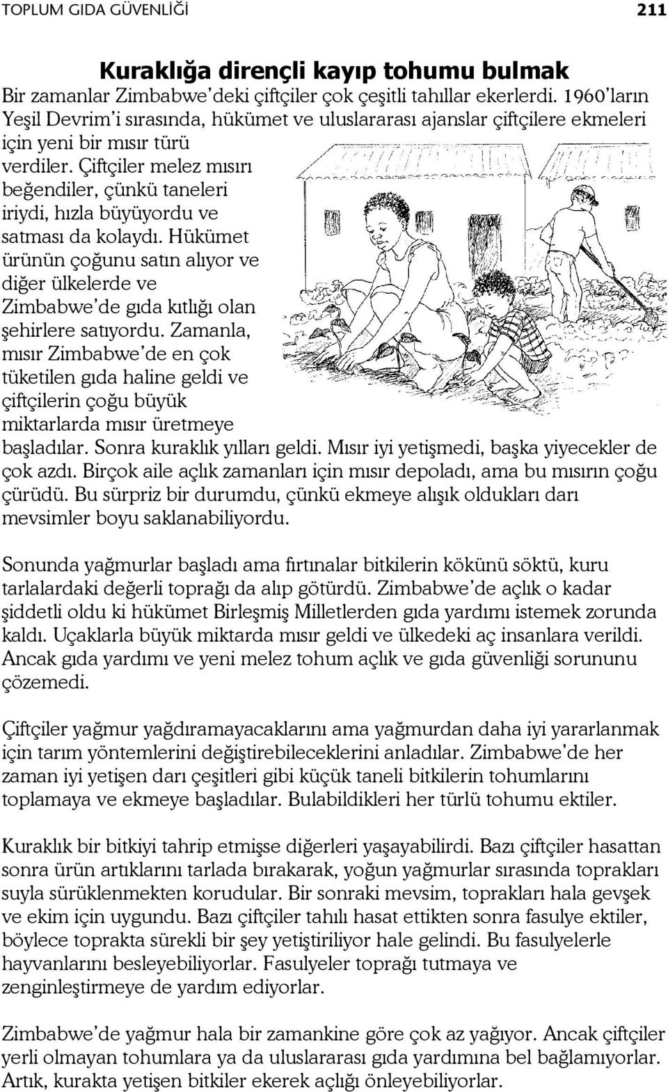 Çiftçiler melez mısırı beğendiler, çünkü taneleri iriydi, hızla büyüyordu ve satması da kolaydı.