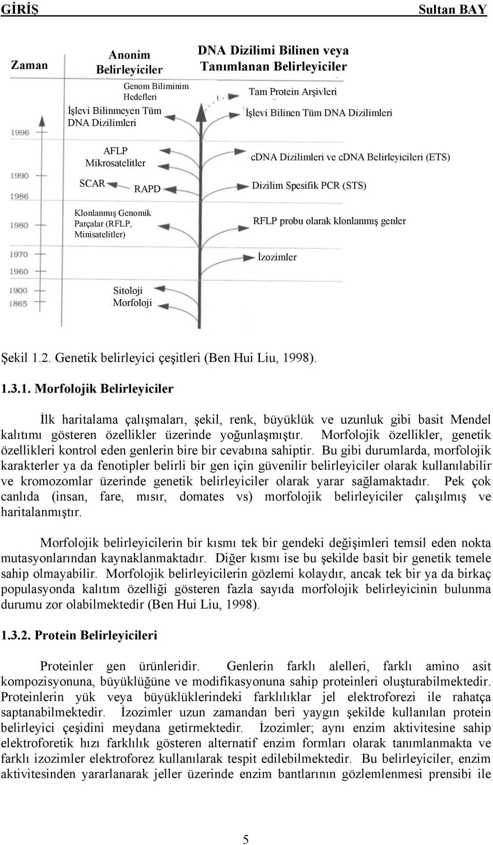 İzozimler Sitoloji Morfoloji Şekil 1.2. Genetik belirleyici çeşitleri (Ben Hui Liu, 1998). 1.3.1. Morfolojik Belirleyiciler İlk haritalama çalışmaları, şekil, renk, büyüklük ve uzunluk gibi basit Mendel kalıtımı gösteren özellikler üzerinde yoğunlaşmıştır.