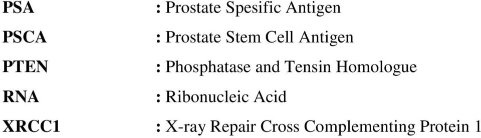 and Tensin Homologue RNA : Ribonucleic Acid