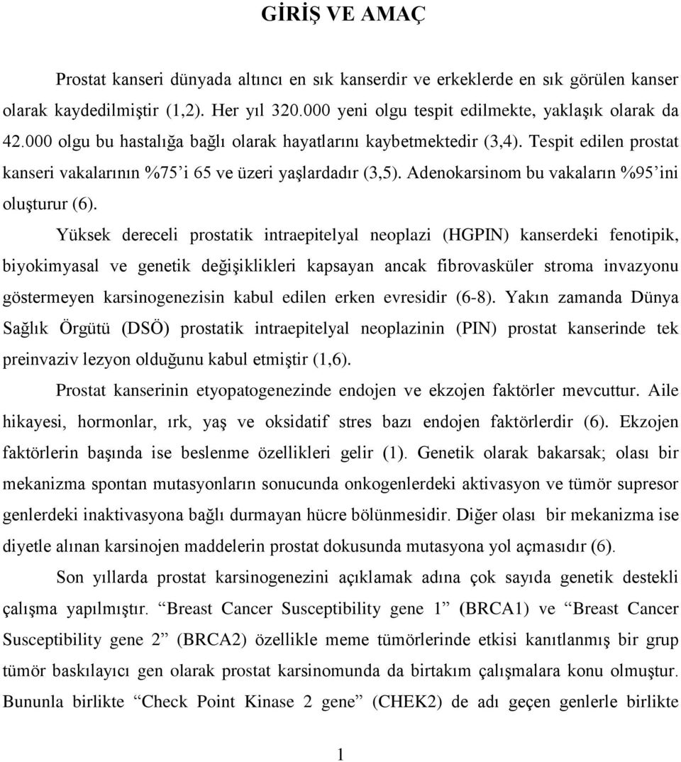 Yüksek dereceli prostatik intraepitelyal neoplazi (HGPIN) kanserdeki fenotipik, biyokimyasal ve genetik değişiklikleri kapsayan ancak fibrovasküler stroma invazyonu göstermeyen karsinogenezisin kabul