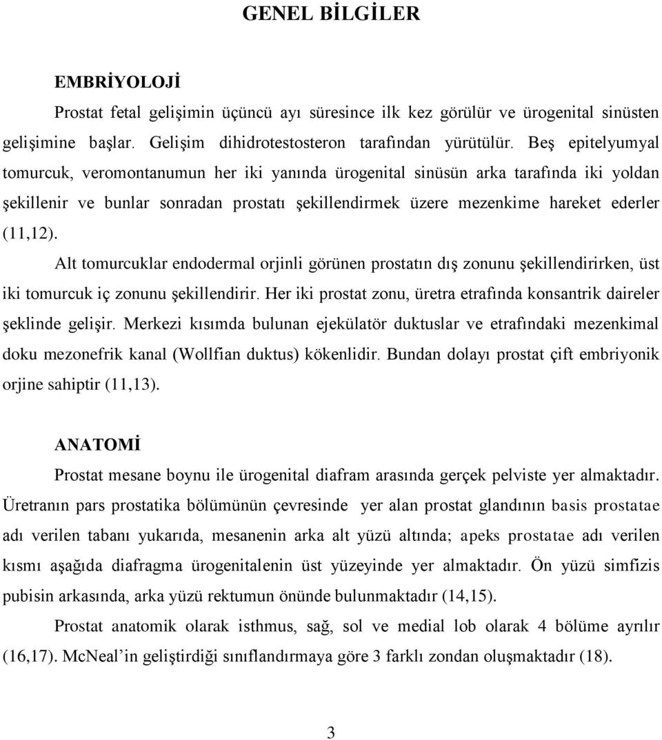 Alt tomurcuklar endodermal orjinli görünen prostatın dış zonunu şekillendirirken, üst iki tomurcuk iç zonunu şekillendirir. Her iki prostat zonu, üretra etrafında konsantrik daireler şeklinde gelişir.