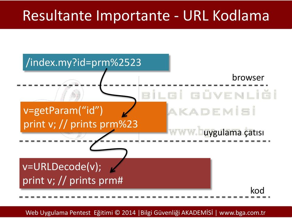id=prm%2523 browser v=getparam( id )