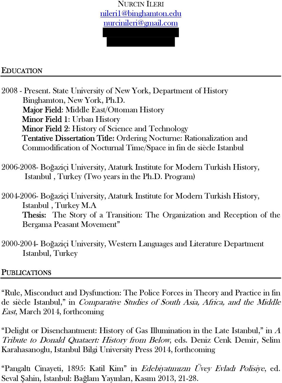 Commodification of Nocturnal Time/Space in fin de siècle Istanbul 2006-2008- Boğaziçi University, Ataturk Institute for Modern Turkish History, Istanbul, Turkey (Two years in the Ph.D.