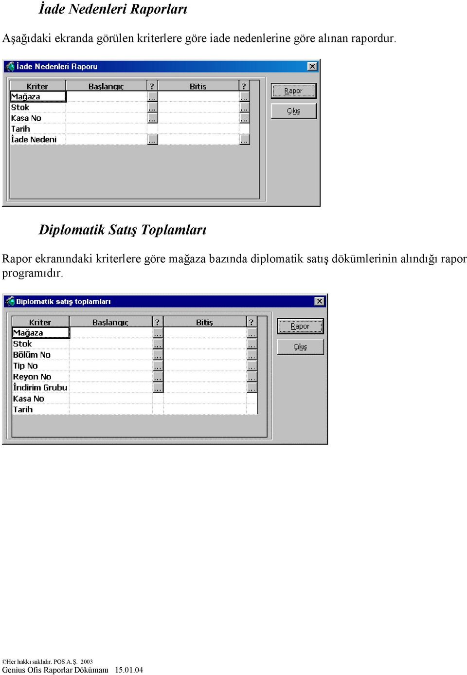 Diplomatik Satış Toplamları Rapor ekranındaki kriterlere