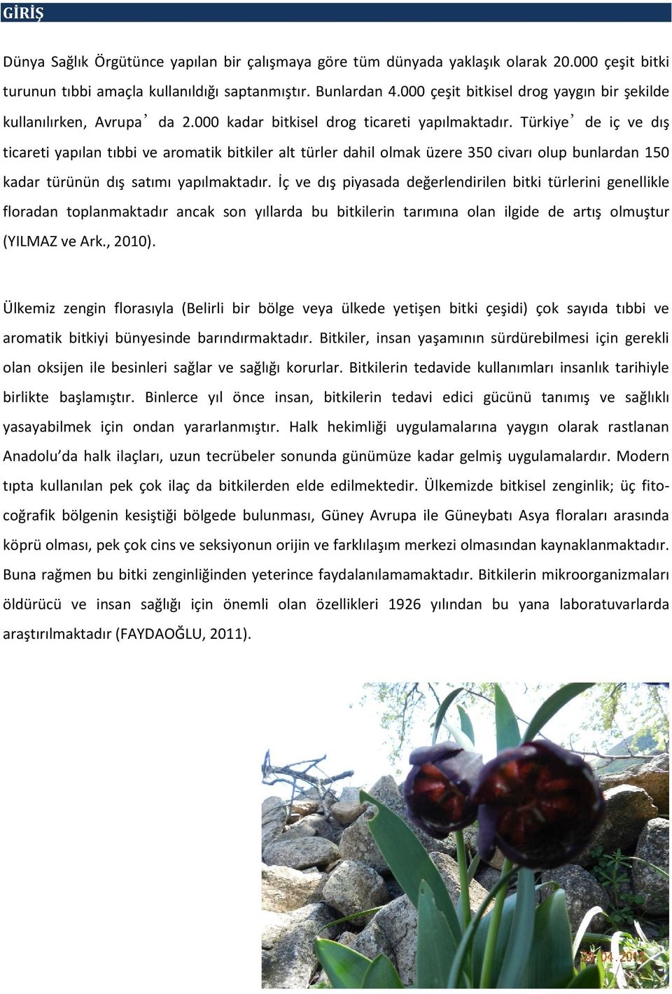 Türkiye de iç ve dış ticareti yapılan tıbbi ve aromatik bitkiler alt türler dahil olmak üzere 350 civarı olup bunlardan 150 kadar türünün dış satımı yapılmaktadır.