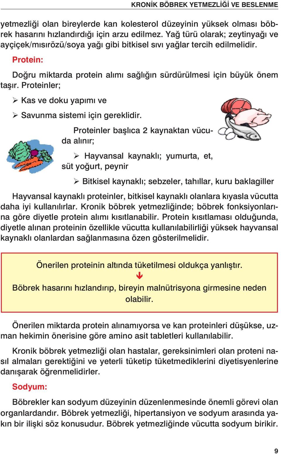 Proteinler; ÿ Kas ve doku yapımı ve ÿ Savunma sistemi için gereklidir.