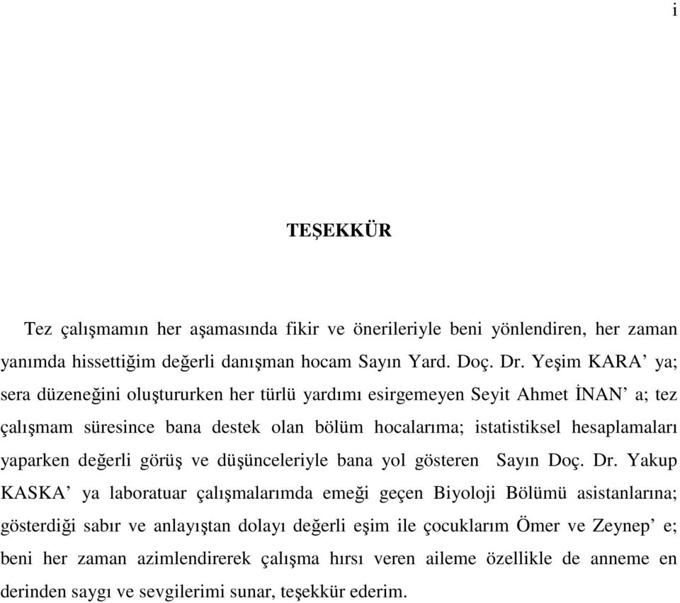 hesaplamaları yaparken değerli görüş ve düşünceleriyle bana yol gösteren Sayın Doç. Dr.