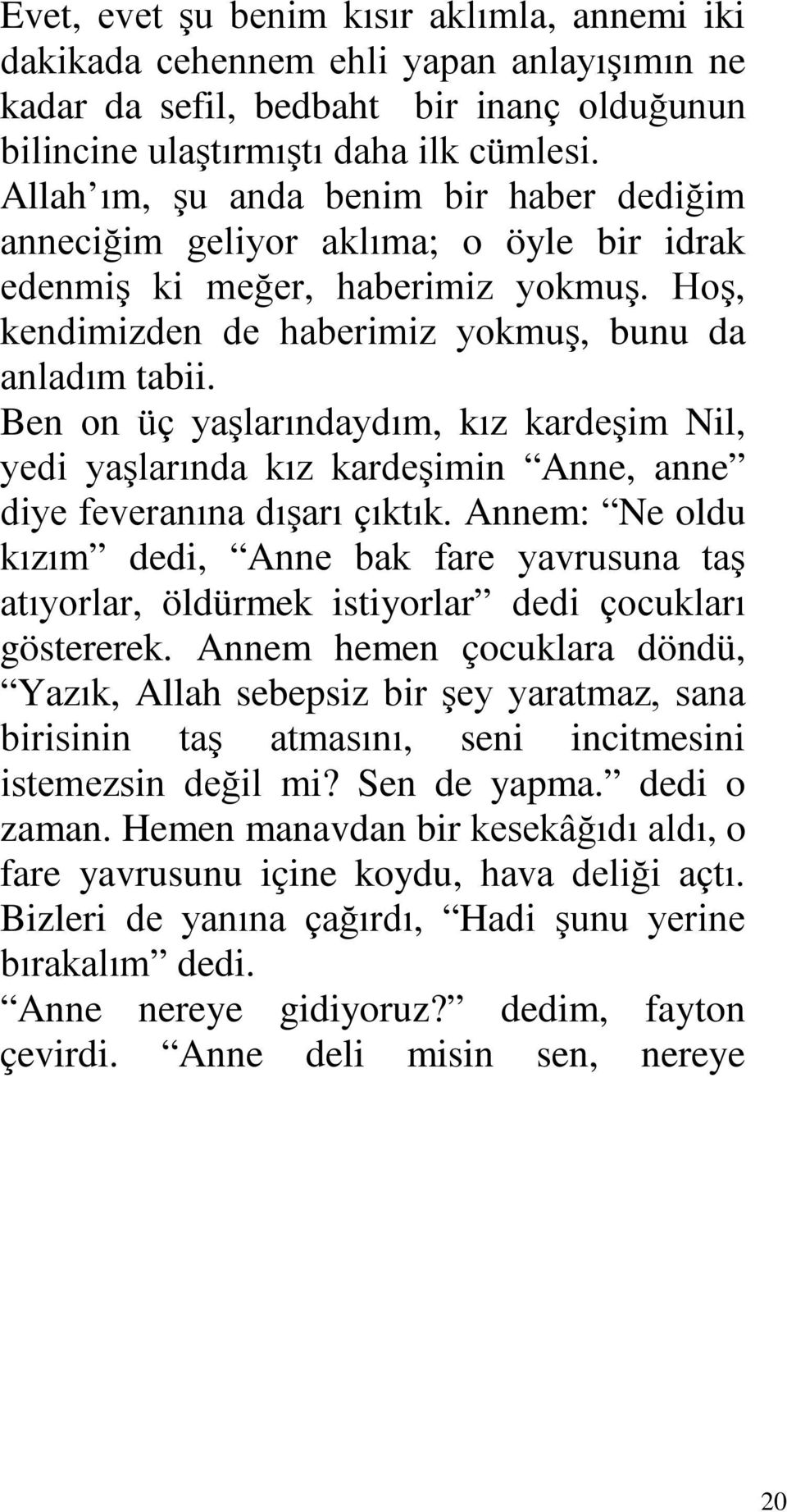 Ben on üç yaşlarındaydım, kız kardeşim Nil, yedi yaşlarında kız kardeşimin Anne, anne diye feveranına dışarı çıktık.