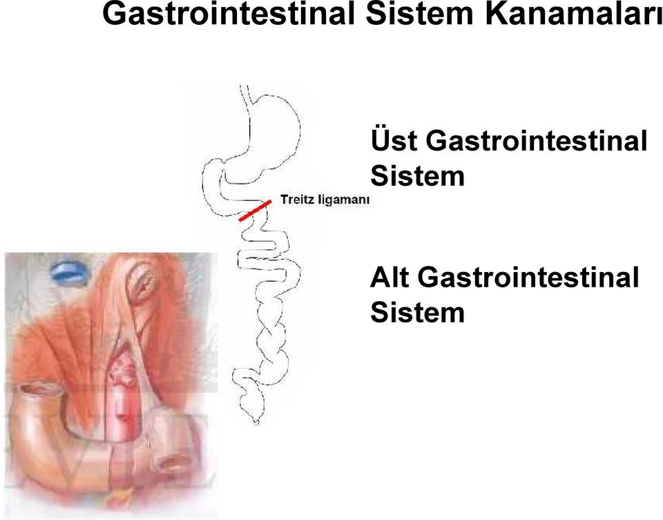 Sistem Alt  Sistem