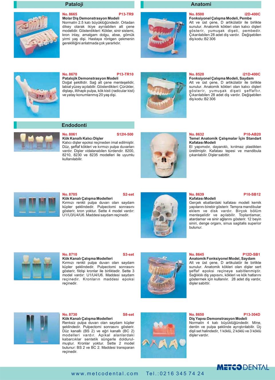 8500 i2d-400c Fonksiyonel Çalýþma Modeli, Pembe sunulur. Anatomik kökleri olan kalýcý diþleri gösterir, yumuþak diþeti, pembedir. Çýkarýlabilen 28 adet diþ vardýr. Deðiþebilen diþ kodu: B2 306 No.