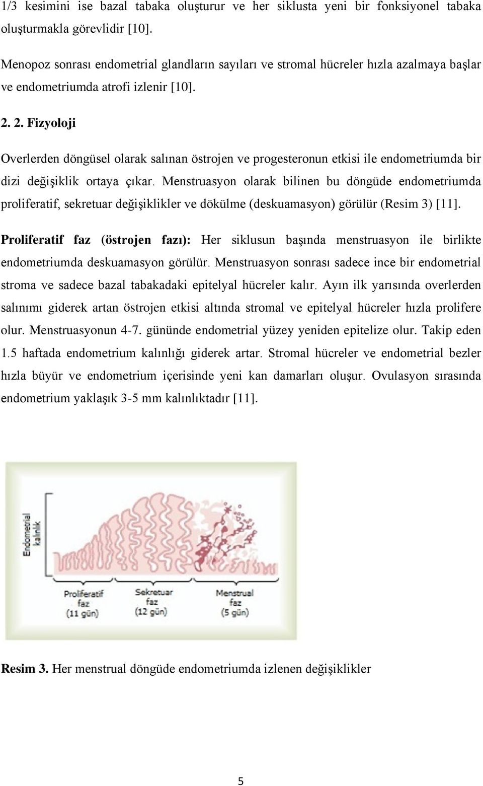 2. Fizyoloji Overlerden döngüsel olarak salınan östrojen ve progesteronun etkisi ile endometriumda bir dizi değişiklik ortaya çıkar.