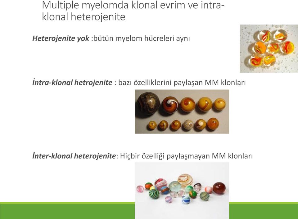 hetrojenite : bazı özelliklerini paylaşan MM klonları