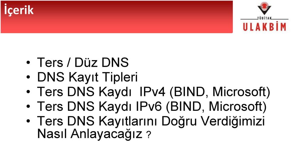 Kaydı IPv6 (BIND, Microsoft) Ters DNS