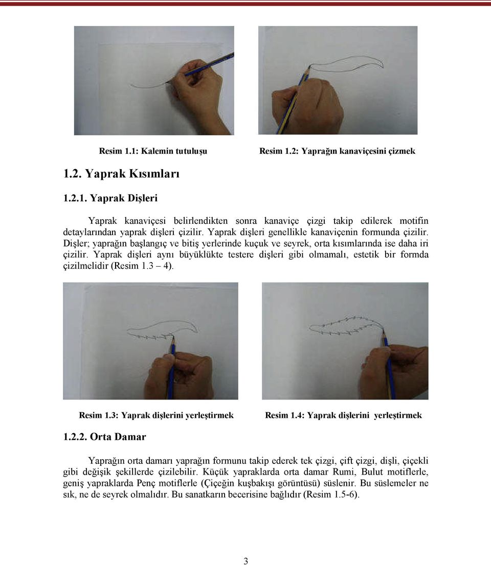 Yaprak dişleri aynı büyüklükte testere dişleri gibi olmamalı, estetik bir formda çizilmelidir (Resim 1.3 4). Resim 1.3: Yaprak dişlerini yerleştirmek Resim 1.4: Yaprak dişlerini yerleştirmek 1.2.