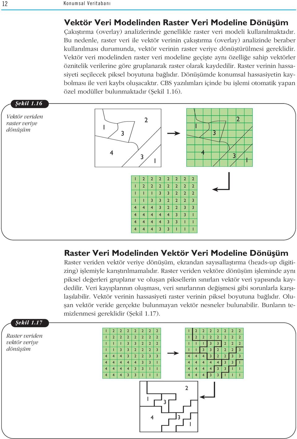 Vektör veri modelinden raster veri modeline geçiflte ayn özelli e sahip vektörler öznitelik verilerine göre gruplanarak raster olarak kaydedilir.