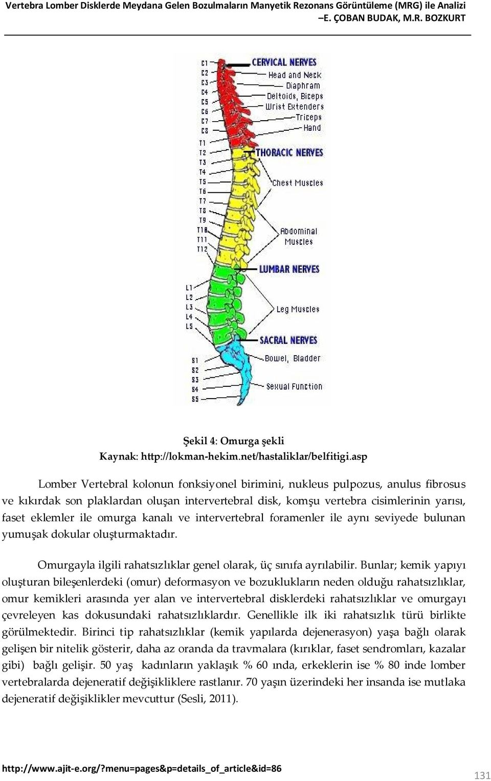 asp Lomber Vertebral kolonun fonksiyonel birimini, nukleus pulpozus, anulus fibrosus ve kıkırdak son plaklardan oluşan intervertebral disk, komşu vertebra cisimlerinin yarısı, faset eklemler ile