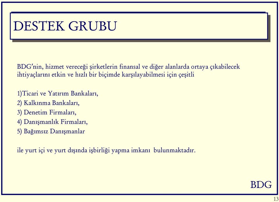 1)Ticari ve Yatırım Bankaları, 2) Kalkınma Bankaları, 3) Denetim Firmaları, 4) Danışmanlık